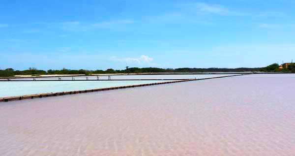 Core.Domain.Models.Image