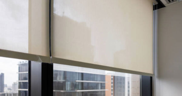 Core.Domain.Models.Image