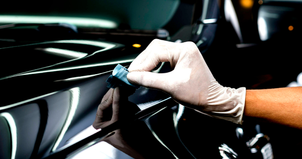 Core.Domain.Models.Image