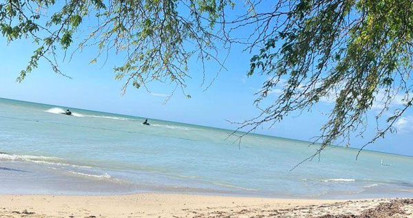 Core.Domain.Models.Image