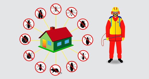 Core.Domain.Models.Image