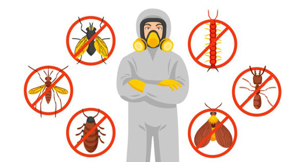 Core.Domain.Models.Image