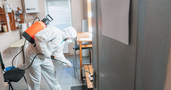 Core.Domain.Models.Image