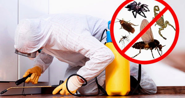 Core.Domain.Models.Image