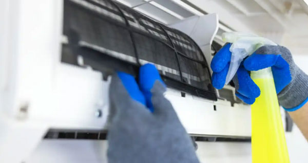 Core.Domain.Models.Image