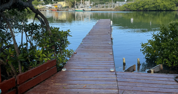 Core.Domain.Models.Image