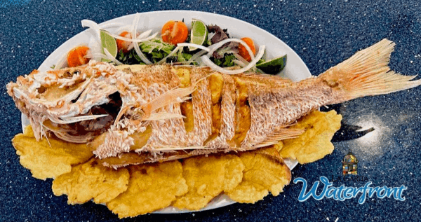 Core.Domain.Models.Image