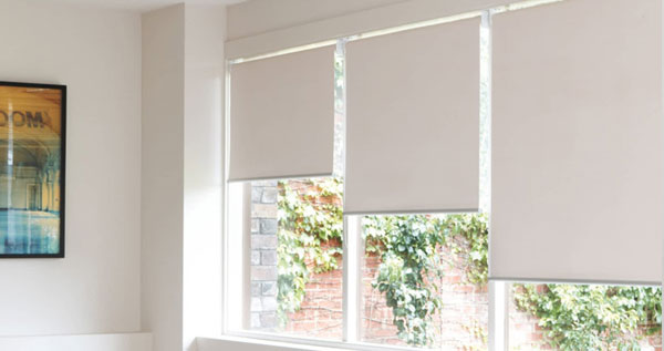 Core.Domain.Models.Image