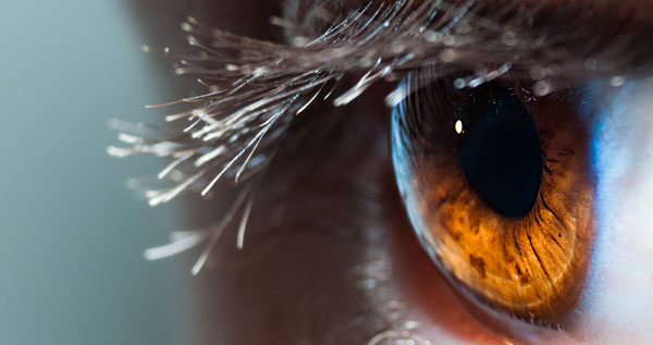 Core.Domain.Models.Image