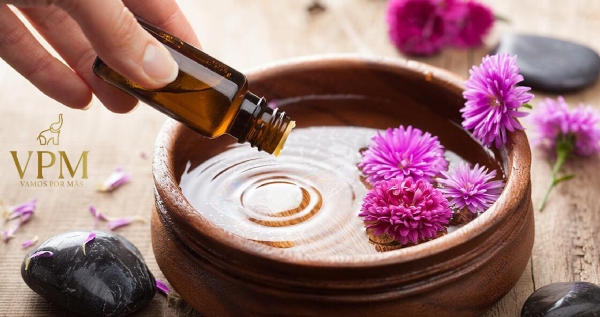 Core.Domain.Models.Image