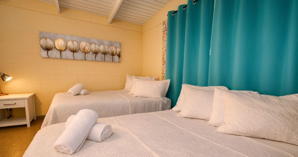 Core.Domain.Models.Image