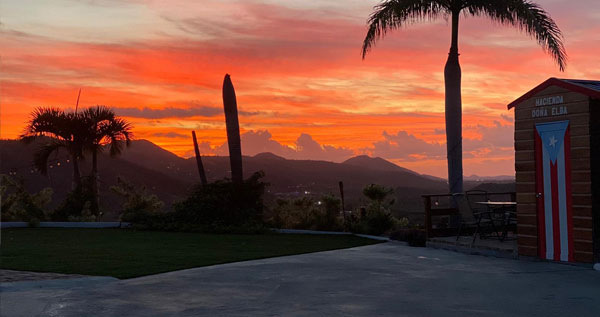 Core.Domain.Models.Image