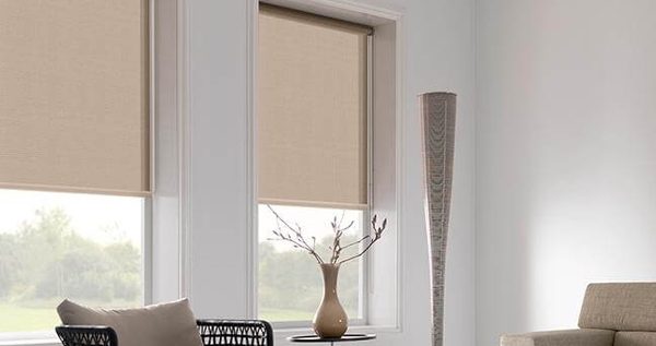 Core.Domain.Models.Image