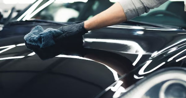 Core.Domain.Models.Image